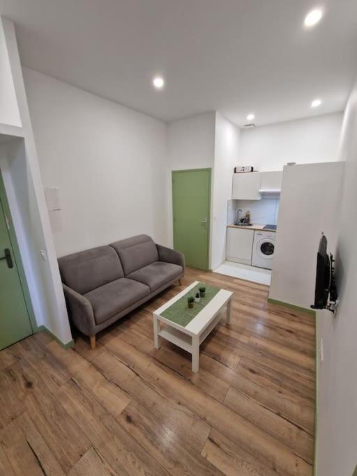 Magnifique Appartement De Type 2 Saint-Etienne (Loire) Exterior foto